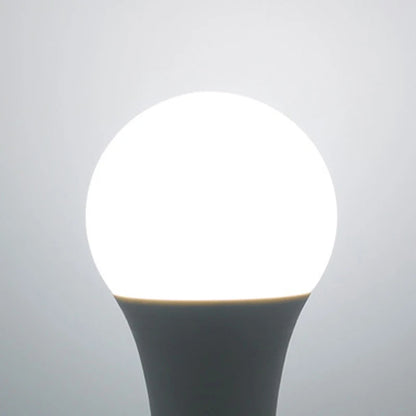 LED Light Bulb E27/E14 | 3W–20W | High Brightness