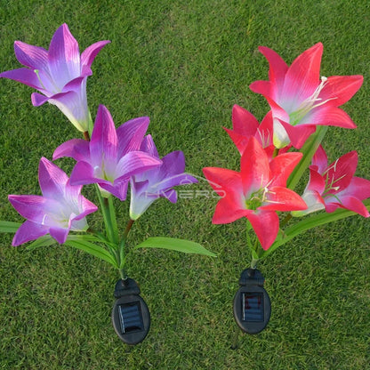 Solar Lily Flower Garden Light | IP65 Waterproof | 3 Colors