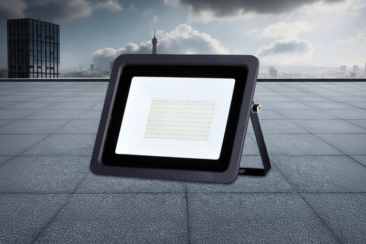 Black Shell Flood Light