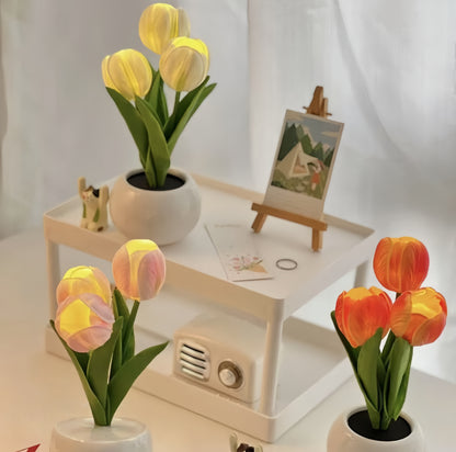 LED Tulip Flower Night Light